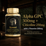 Ayaani Focus with Alpha GPC 300mg, Citicoline 250mg and L-Theanine 200mg in a fully disclosed formula