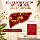 Glutathione liver detoxification pathways infographic with Ayaani S-Acetyl 300mg