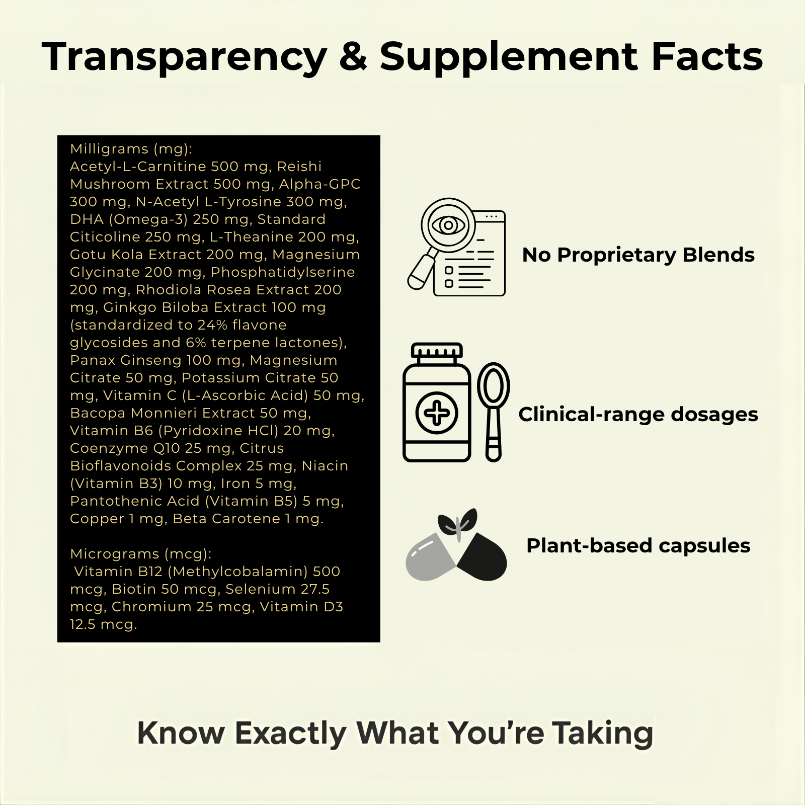 AYAANI Brain Focus Nootropic – 60 Vegan Capsules | 25-Ingredient Blend Ayaani