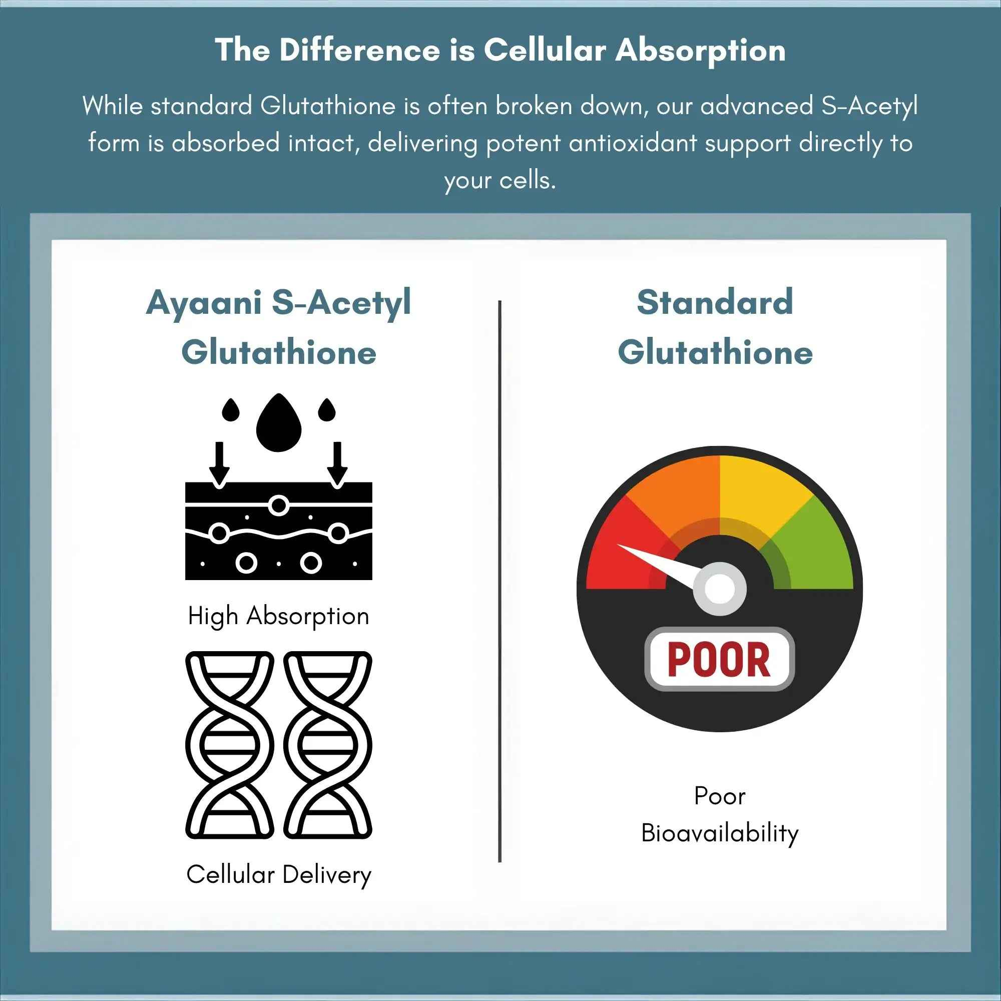 S-Acetyl Glutathione 300mg – 60 Vegan Capsules | High-Absorption | UK Developed