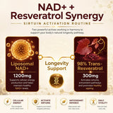 Ayaani liposomal NAD+ capsules for cellular wellness routine