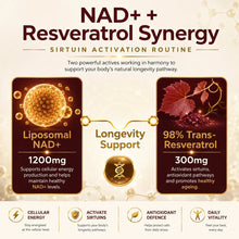 Ayaani liposomal NAD+ capsules for cellular wellness routine