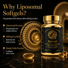 Ayaani liposomal glutathione softgels infographic showing phospholipid-rich delivery with 400mg lecithin and a simple daily softgel routine