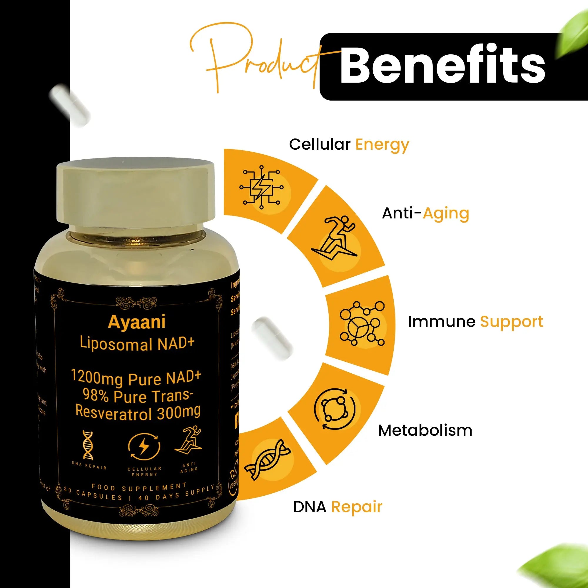 Key benefits of Ayaani NAD+ capsules – supports DNA repair, metabolism, immune health, cellular energy, and anti-aging.