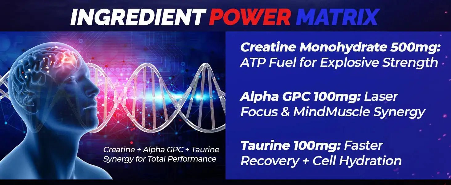 Creatine Gummies 5000mg | Sugar - Free Vegan with Alpha - GPC | Ayaani UK - Ayaani