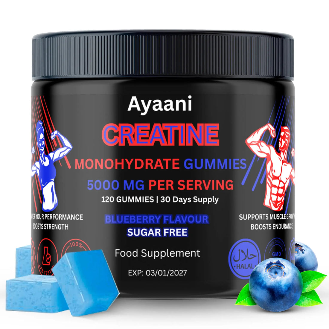 Ayaani Creatine Monohydrate Gummies jar – 5000 mg per serving, sugar-free blueberry flavour, 120 gummies (30 days)