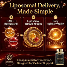 Ayaani NAD+ 1200mg liposomal supplement product image