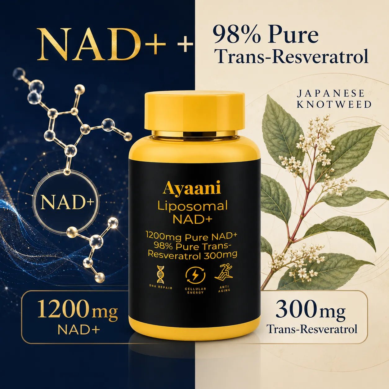 NAD+ 1200mg Liposomal with Resveratrol 300mg | Cellular Energy Support
