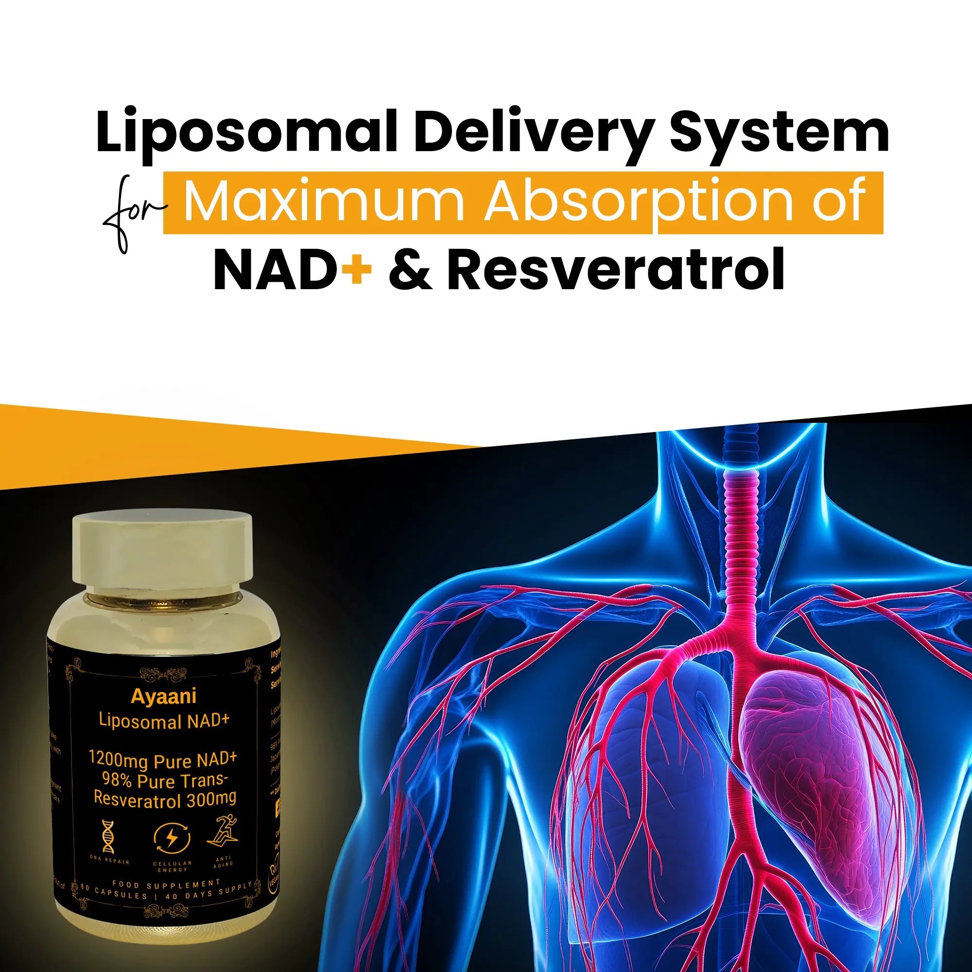 Ayaani Liposomal NAD+ with advanced liposomal delivery system for maximum absorption of NAD+ and Resveratrol.