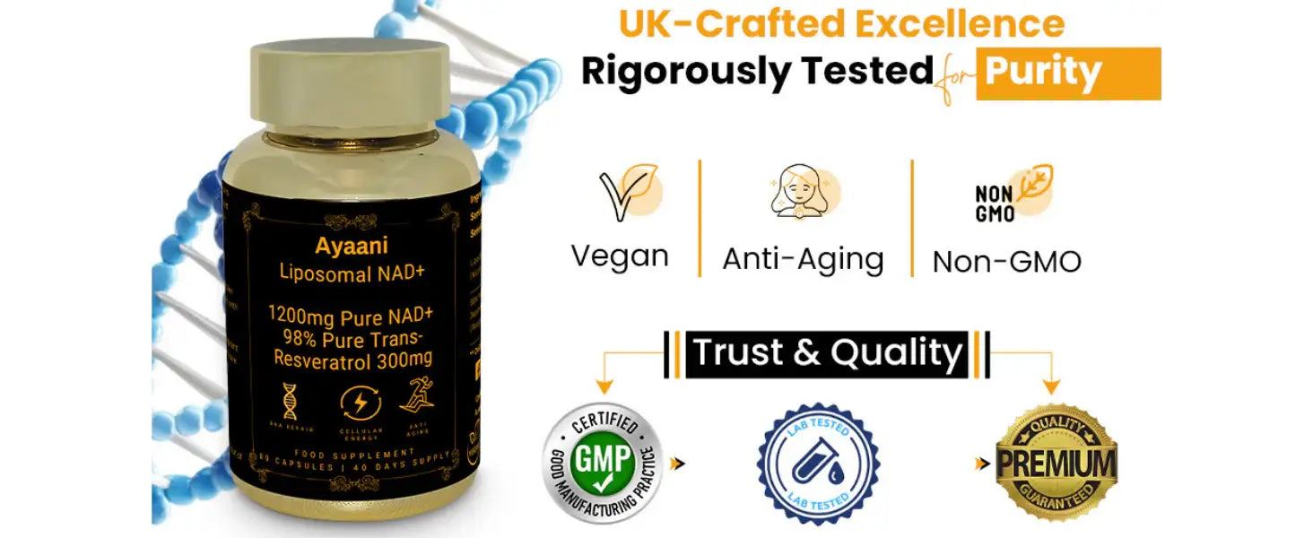 Liposomal NAD+ 1200mg with Resveratrol | Cellular Energy Support | Ayaani - Ayaani