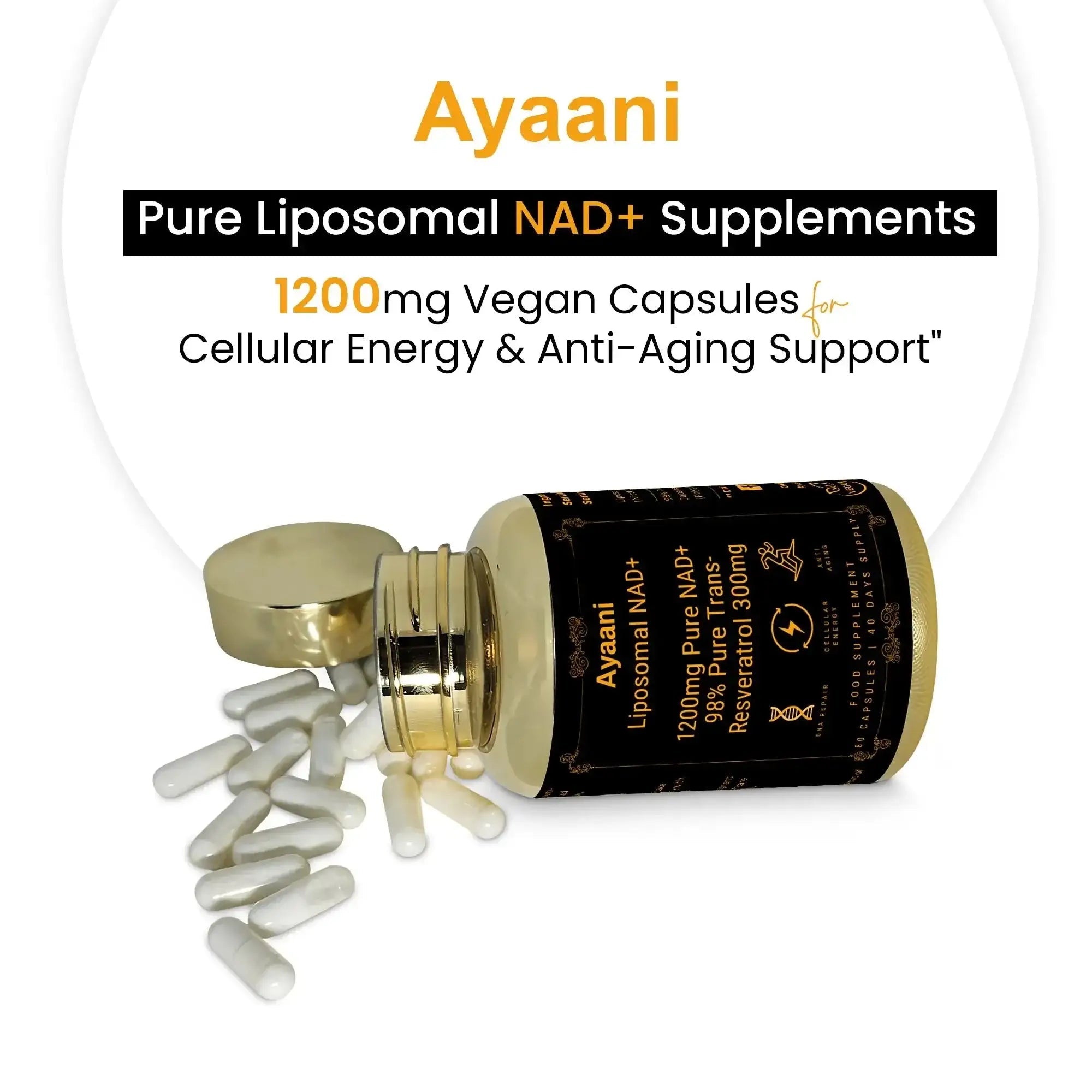 Liposomal NAD+ 1200mg with Resveratrol | Cellular Energy Support | Ayaani - Ayaani
