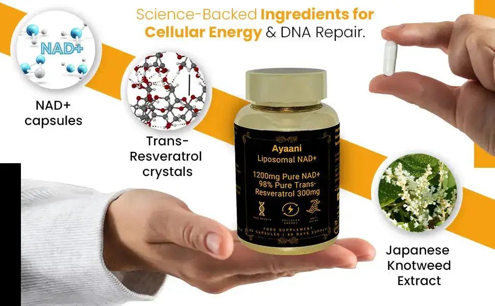 Liposomal NAD+ 1200mg with Resveratrol | Cellular Energy Support | Ayaani - Ayaani