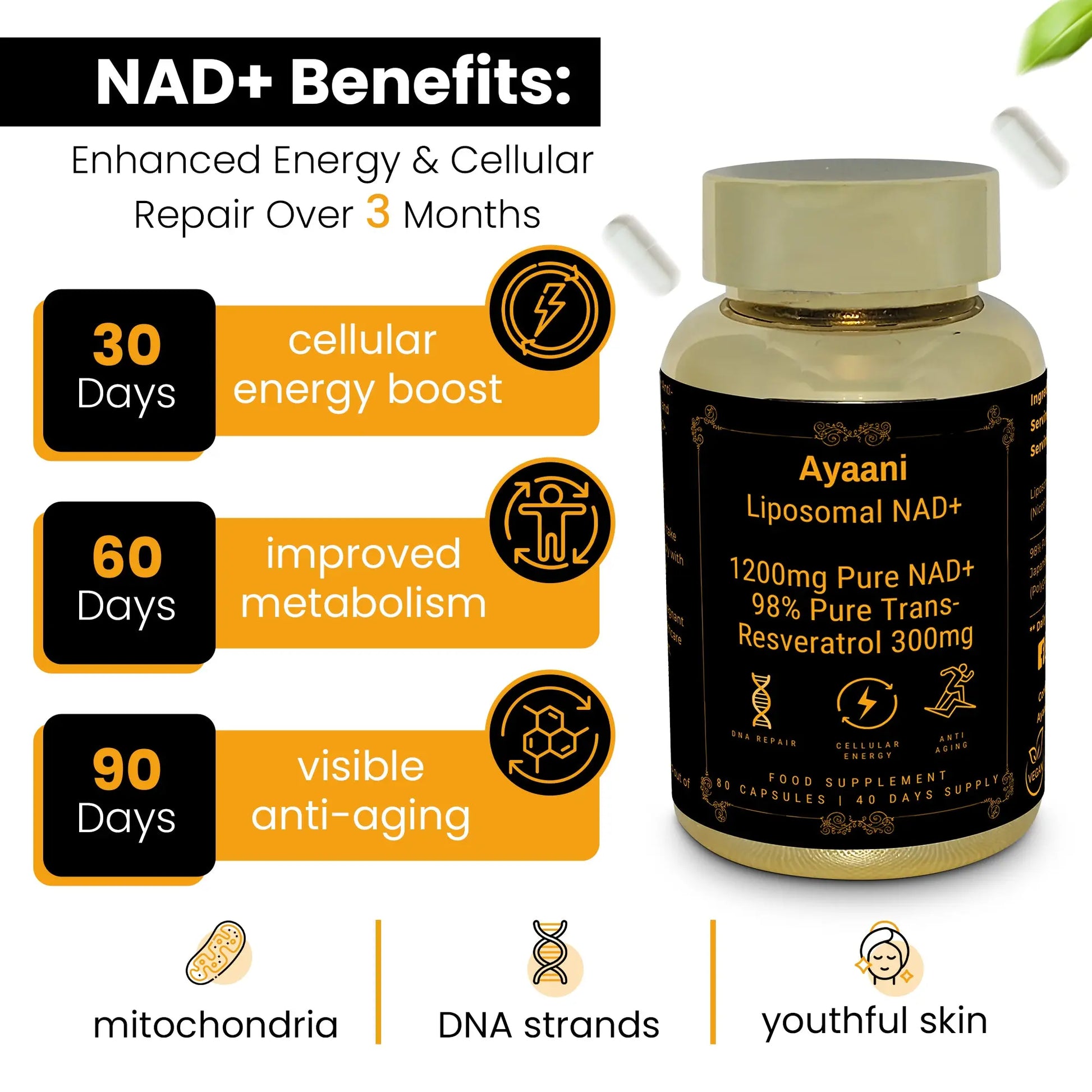 Ayaani NAD+ supplement benefits over 3 months – improved energy, metabolism, and visible anti-aging effects.