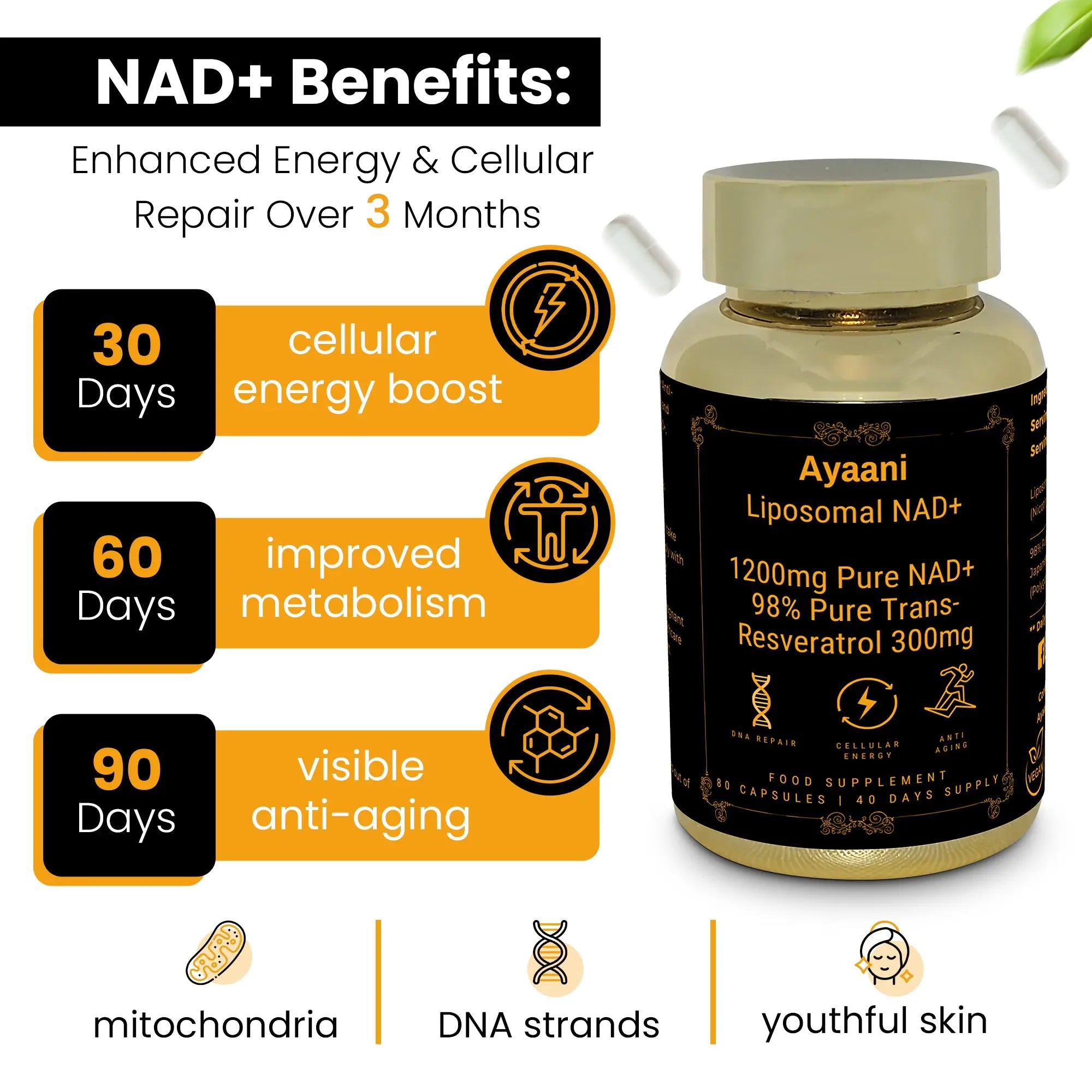 Ayaani NAD+ supplement benefits over 3 months – improved energy, metabolism, and visible anti-aging effects.