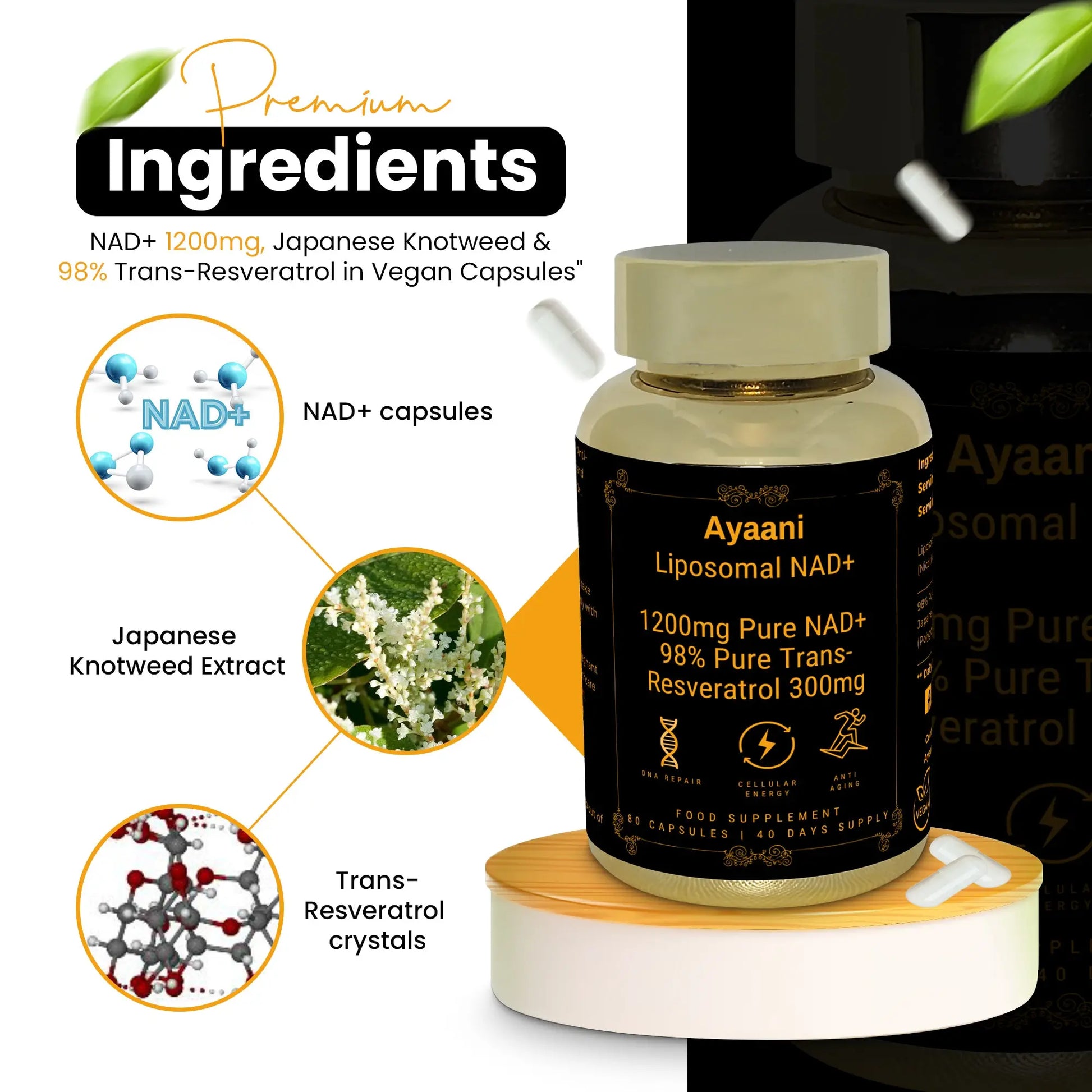 Ayaani Liposomal NAD+ supplement made with premium ingredients – NAD+, Japanese Knotweed extract, and Trans-Resveratrol.