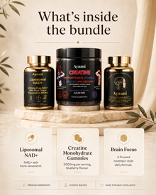 What is inside The Performance Stack bundle with Ayaani NAD plus, Creatine Gummies and Brain Focus