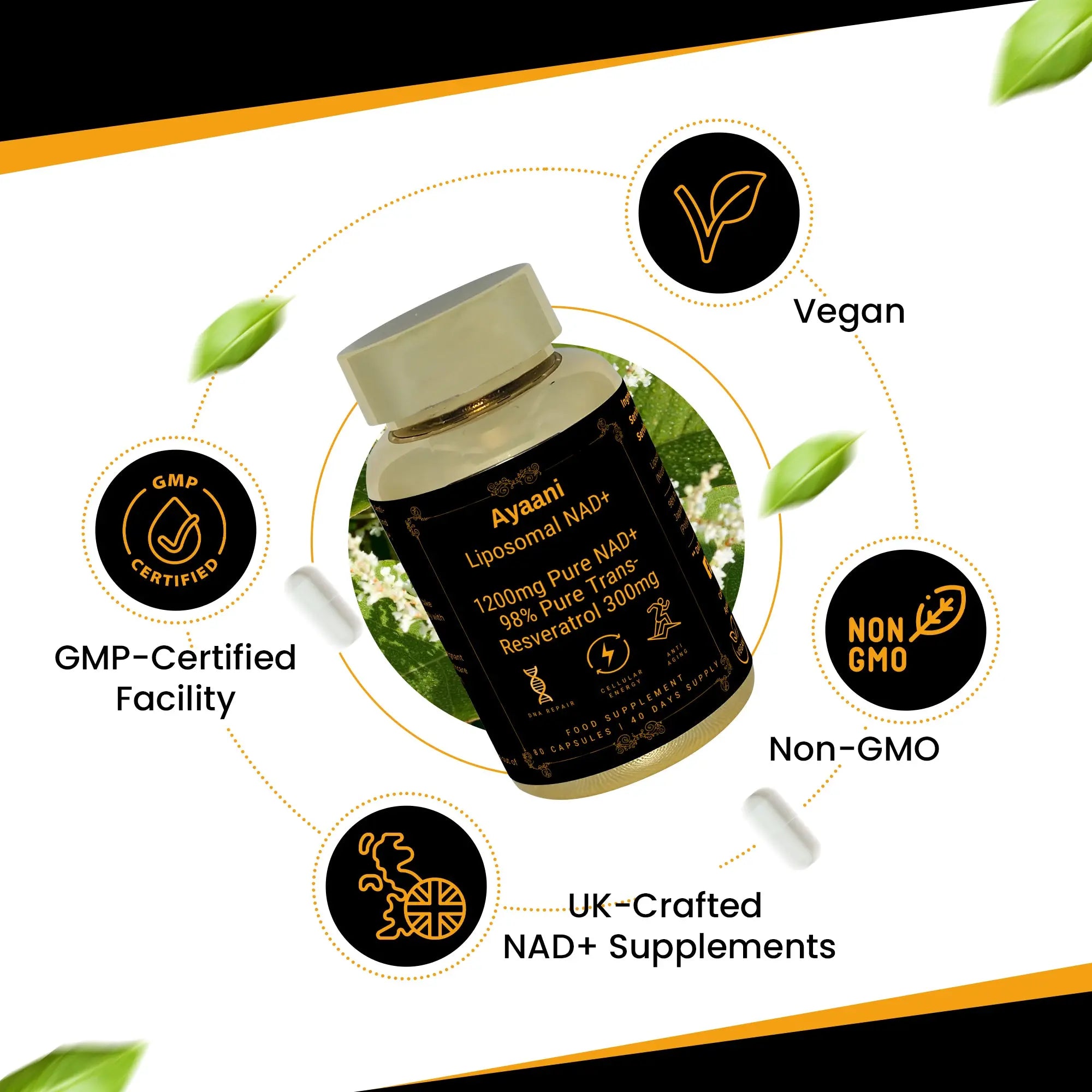 Ayaani Liposomal NAD+ supplement – vegan, non-GMO, UK-crafted in GMP-certified facility.
